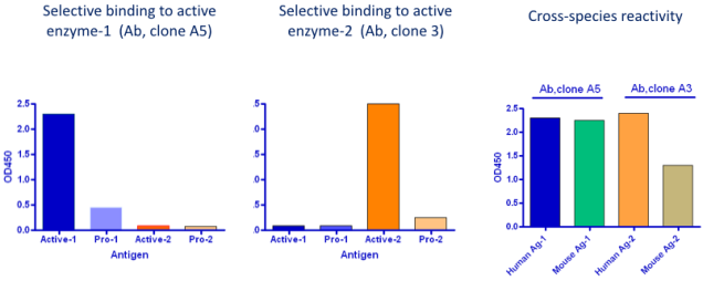 Selection for desired specificity and cross-reactivity