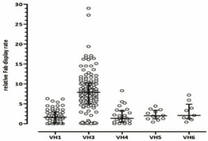 VHH Antibody Yeast Display Library | Discovery | AvantFoil