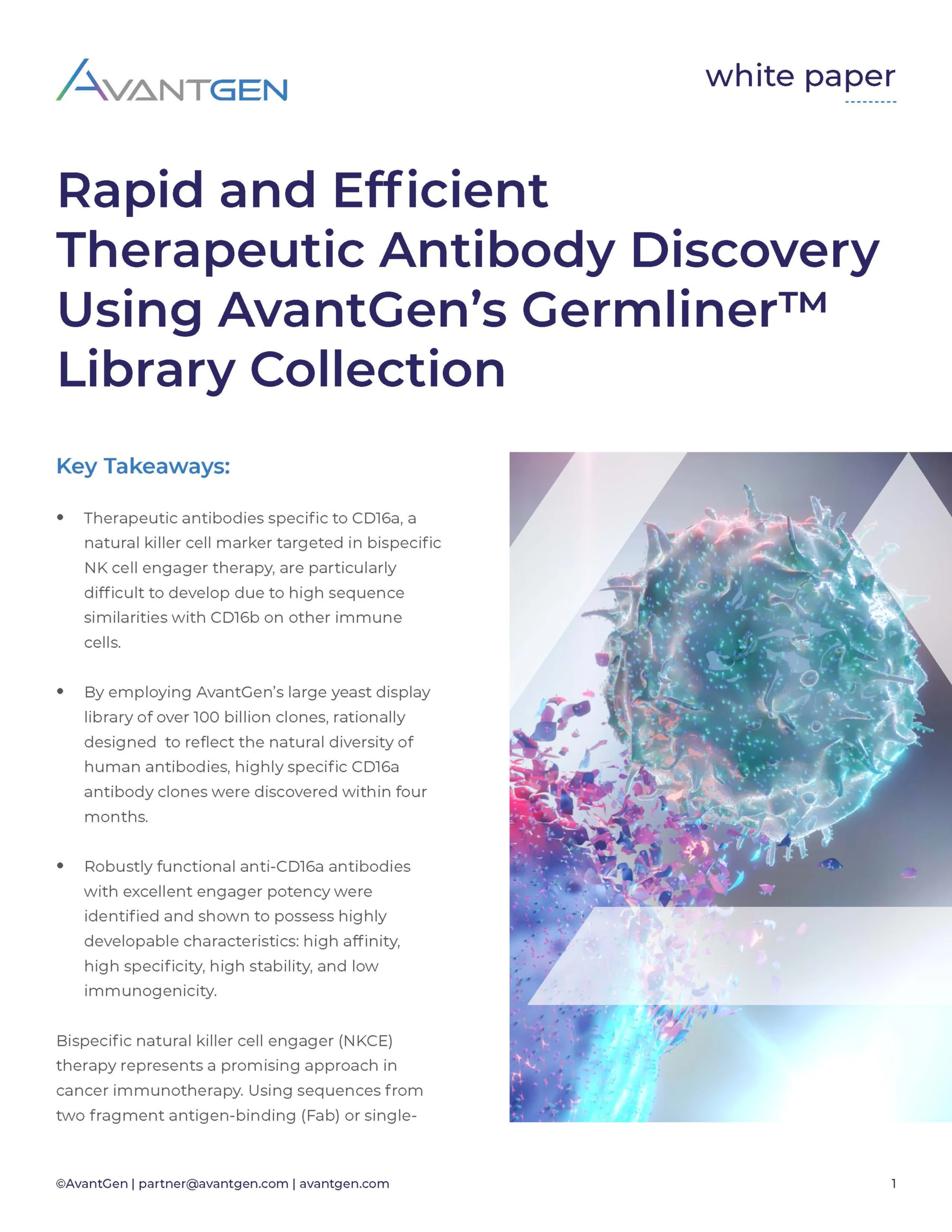 Rapid and Efficient Therapeutic Antibody Discovery Using AvantGen’s Germliner™ Library Collection